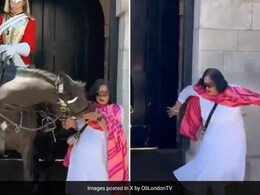 Video: King's Guard Horse In UK Bites Tourist After She Touches It For Photo
