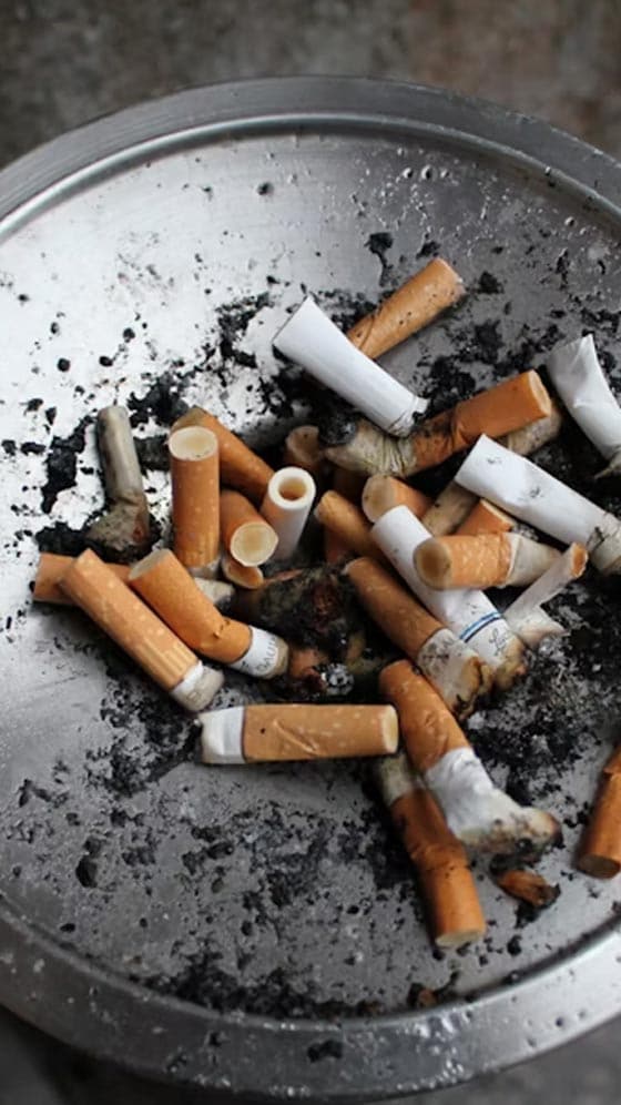 tobacco significance World No Tobacco Day: History And Significance