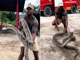 शख्स के मुंह पर फुफकार रहा था सांप, बार-बार कर रहा था अटैक, सबक सिखाने के लिए शख्स ने जो किया, सबके बस की बात नहीं शख्स के मुंह पर फुफकार रहा था सांप, बार-बार कर रहा था अटैक, सबक सिखाने के लिए शख्स ने जो किया, सबके बस की बात नहीं