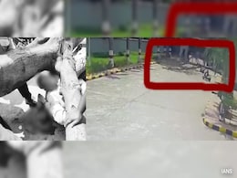 Man Riding Bike Dies, Wife Injured As Old Tree Falls On Couple At Telangana Hospital Man Riding Bike Dies, Wife Injured As Old Tree Falls On Couple At Telangana Hospital