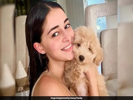 Malaika Arora, Mira Rajput, Zoya Akhtar Send Big Love To Ananya Panday's Paw-Some Friend Riot Malaika Arora, Mira Rajput, Zoya Akhtar Send Big Love To Ananya Panday's Paw-Some Friend Riot