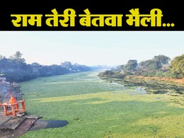 दम तोड़ रही 'MP की गंगा' ! प्रशासन की अनदेखी पर जीवन दायनी को बचाने निकले लोग  दम तोड़ रही 'MP की गंगा' ! प्रशासन की अनदेखी पर जीवन दायनी को बचाने निकले लोग