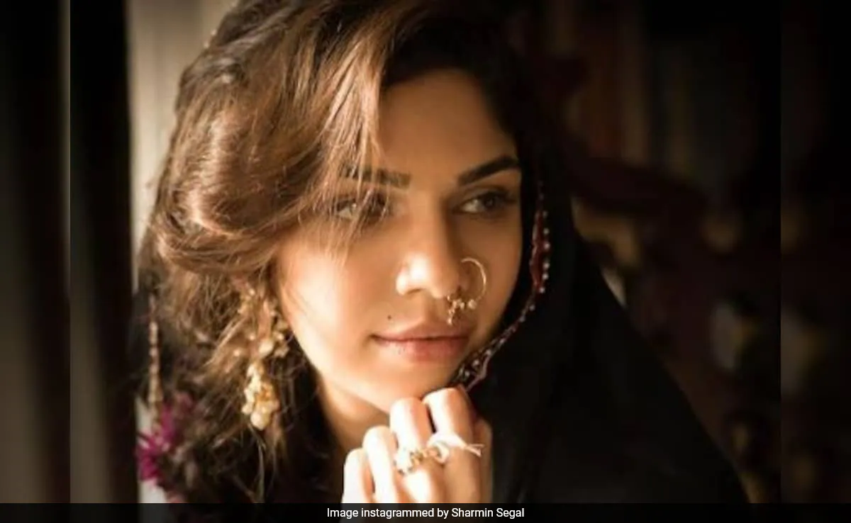 <i>Heeramandi</i> Actor Sharmin Segal Shares Pics From Look Tests, Keeps Instagram Comments Disabled