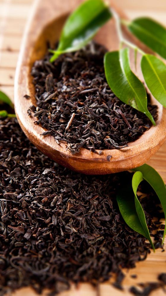 क्या चाय पत्ती का इस्तेमाल रोक सकता है बालों का झड़ना? जानें कैसे करें इसका इस्तेमाल