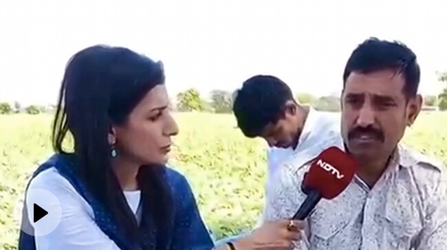 Lok Sabha Election 2024: How Is The Condition Of Farmers Of Malwa In MP? Apart From Fertilizer-Seeds, GST Becomes A Headache.