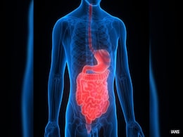 All About Inflammatory Bowel Disease And Why It Is Rising In India All About Inflammatory Bowel Disease And Why It Is Rising In India