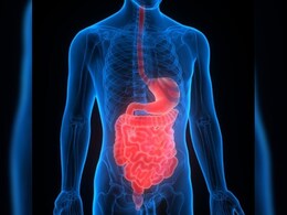 World IBS Day 2025: क्या है इरिटेबल बाउल सिंड्रोम ? जानें इसके लक्षण और उपचार