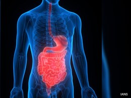 क्या बाउल कैंसर को ठीक कर सकता है अंगूर और वाइन में पाया जाने वाला यह खास तत्व? यहां जानें सब कुछ क्या बाउल कैंसर को ठीक कर सकता है अंगूर और वाइन में पाया जाने वाला यह खास तत्व? यहां जानें सब कुछ