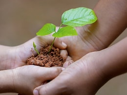 पढ़ाई के साथ पर्यावरण को बचाने की जिम्मेदारी, शिक्षा विभाग लगाएगा 3 करोड़ पौधे पढ़ाई के साथ पर्यावरण को बचाने की जिम्मेदारी, शिक्षा विभाग लगाएगा 3 करोड़ पौधे