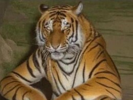 As Heatwave Intensifies, Funny Memes Go Viral On Social Media As Heatwave Intensifies, Funny Memes Go Viral On Social Media