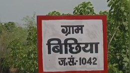 MP News: विकास की बात तो है दूर, MP के इस गांव में नहीं हैं मूलभूत सुविधाएं, टार्च और लालटेन के सहारे पढ़ाई करने को हैं मजबूर