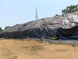 194 कोटी रुपयांचे 8 लाख 94 हजार क्विंटल धान उघड्यावरच, कारण काय?