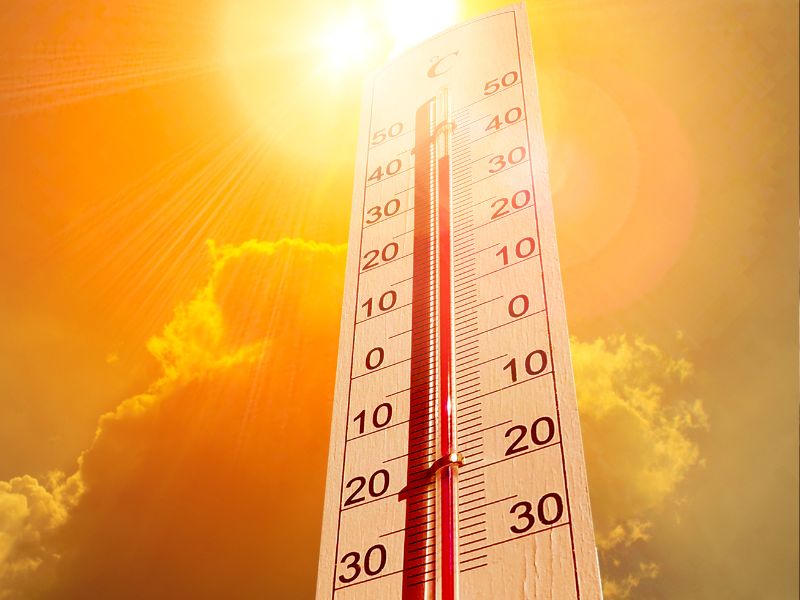 Latest and Breaking News on NDTV Latest and Breaking News on NDTV