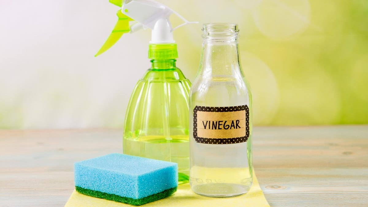 5 Genius Ways Vinegar Comes In Handy Beyond Cooking