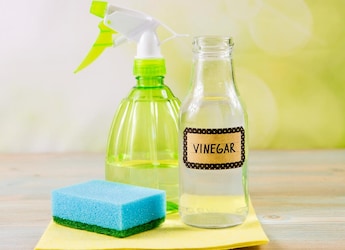 5 Genius Ways Vinegar Comes In Handy Beyond Cooking 5 Genius Ways Vinegar Comes In Handy Beyond Cooking
