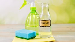5 Essential Kitchen Spots That Should Be Cleaned With Vinegar