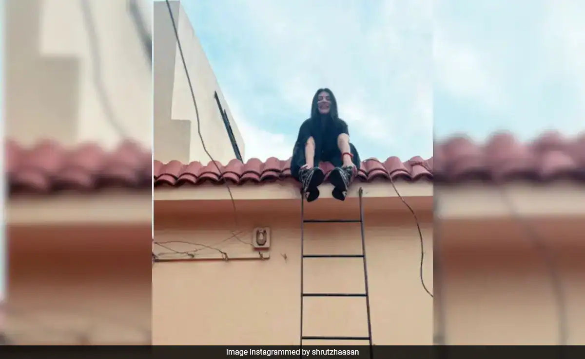 Shruti Haasan Shares Pics From Her "First Solo Home" In Chennai