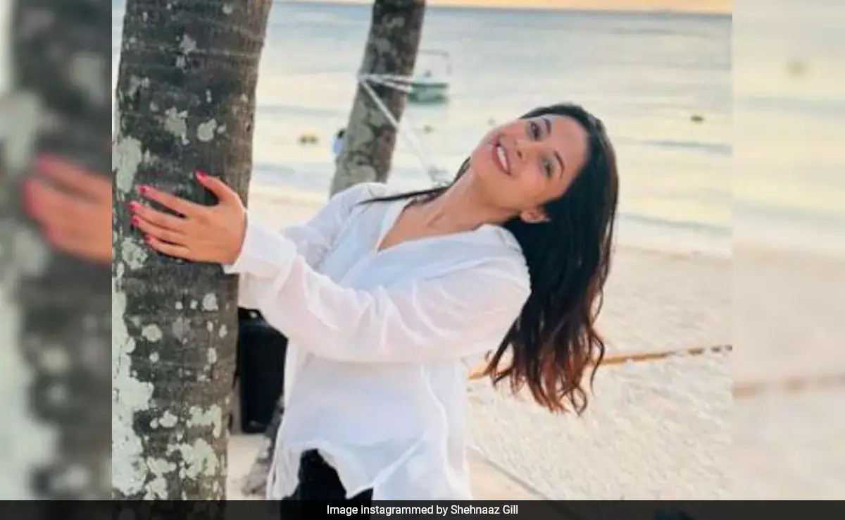 Inside Shehnaaz Gill's Mauritius Diaries: "View For The Next Few Days"