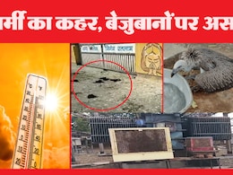 MP Weather: कई जगह टूटा गर्मी का रिकॉर्ड, कब से है राहत की उम्मीद, कैसे करें बचाव जानिए सब कुछ MP Weather: कई जगह टूटा गर्मी का रिकॉर्ड, कब से है राहत की उम्मीद, कैसे करें बचाव जानिए सब कुछ