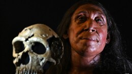 UK Researchers Reconstruct Face Of 75,000-Year-Old Neanderthal Woman