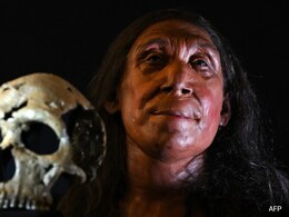 UK Researchers Reconstruct Face Of 75,000-Year-Old Neanderthal Woman