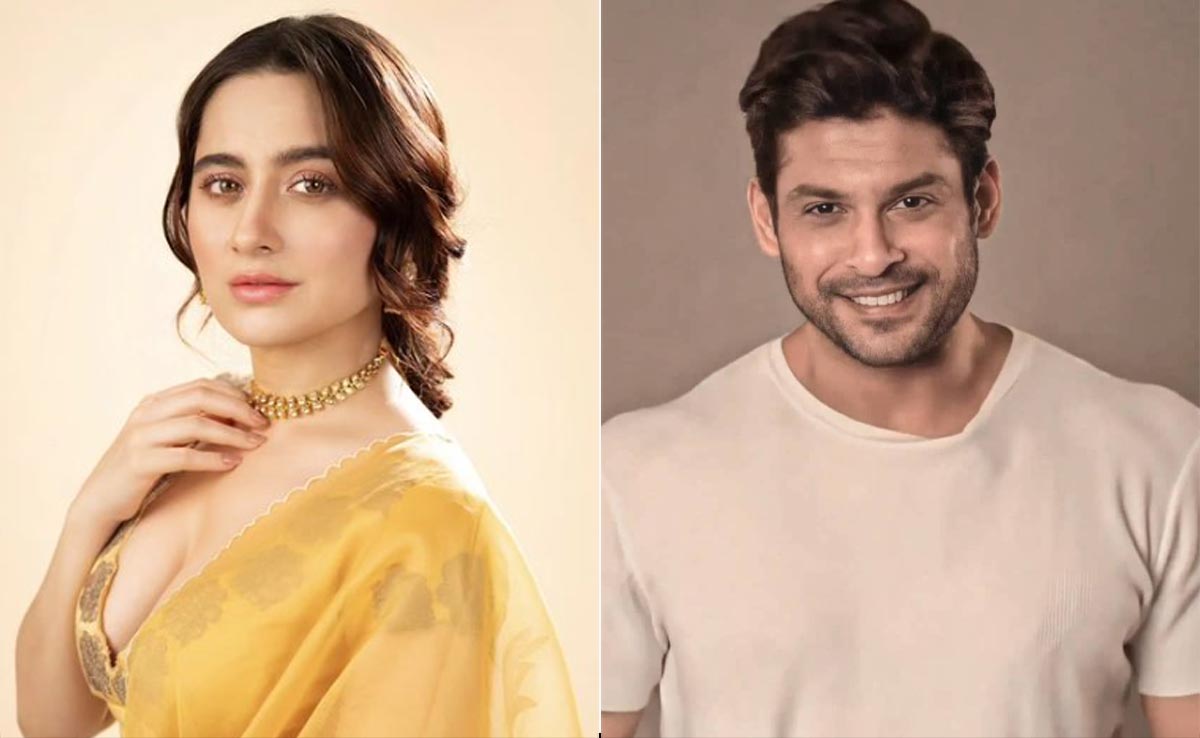 Sanjeeda Shaikh On Her Last Conversation With Sidharth Shukla: "He Sounded Like A Refined Version Of Himself"