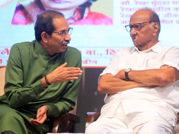 In Maharashtra, OGs Uddhav Thackeray, Sharad Pawar Stand Tall In Maharashtra, OGs Uddhav Thackeray, Sharad Pawar Stand Tall