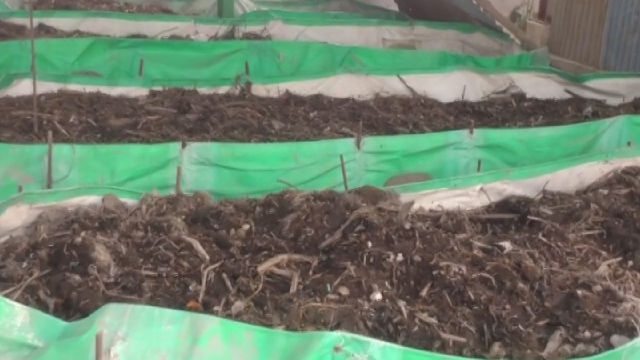 सिंगरौली: नगर निगम की अनोखी पहल, कचरे से हो रही खूब कमाई!