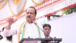 After E Shinde, Ajit Pawar Admits Onion Role In Mahayuti's Bitter Poll Show