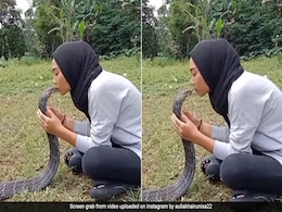 किंग कोबरा को महिला ने बड़े प्यार से किया Kiss, फिर सांप ने जो किया, देखकर खड़े हो जाएंगे रोंगटे किंग कोबरा को महिला ने बड़े प्यार से किया Kiss, फिर सांप ने जो किया, देखकर खड़े हो जाएंगे रोंगटे