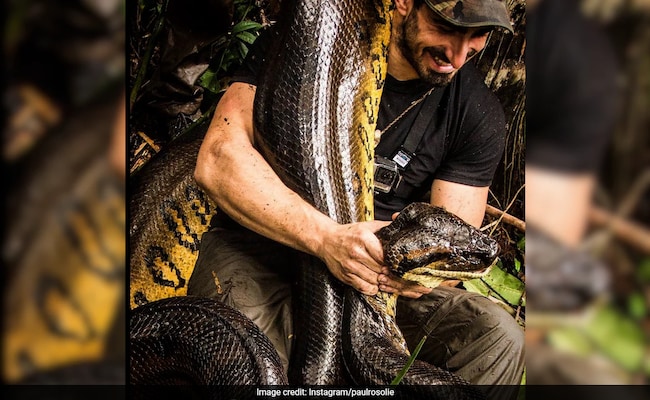 Man Describes How It Was Like To Be 'Eaten Alive' By Anaconda: 'Ribs Exploded'