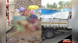 Kawardha: तेंदूपत्ते ने ले ली जान... ये है 16 महिलाओं और तीन बच्चों के मौत की इनसाइड स्टोरी
