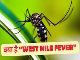 West Nile Virus: क्या है वेस्ट नाइल बुखार, जो केरल में पसार रहा है पैर, जानें कैसे फैलता है, लक्षण, कारण और इससे कैसे बचें West Nile Virus: क्या है वेस्ट नाइल बुखार, जो केरल में पसार रहा है पैर, जानें कैसे फैलता है, लक्षण, कारण और इससे कैसे बचें