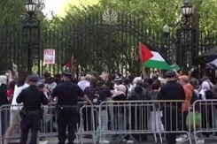 Columbia Protest: Police Arrest Students| India Global Columbia Protest: Police Arrest Students| India Global