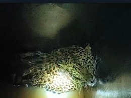 Chhattisgarh : पानी से भरे टैंक में गिरा तेंदुआ, वन विभाग ने ऐसे किया रेस्क्यू Chhattisgarh : पानी से भरे टैंक में गिरा तेंदुआ, वन विभाग ने ऐसे किया रेस्क्यू