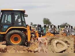 Rajasthan News:  राजस्थान के इस गांव में खुदाई में मिली प्राचीन देवी-देवताओं की प्रतिमाएं, किसान ने बंद करा दी खुदाई