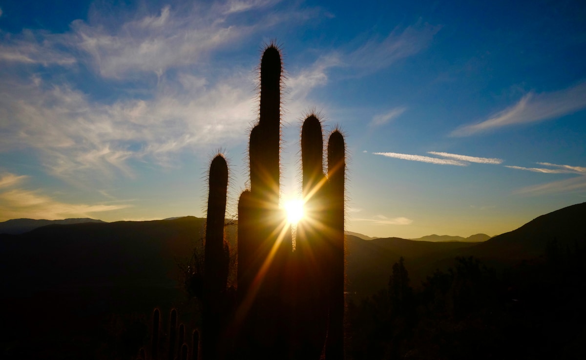 Heat-Related Deaths Around The World Top Half A Million A Year: Study