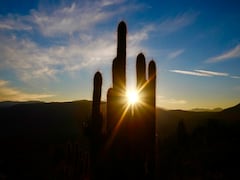 Heat-Related Deaths Around The World Top Half A Million A Year: Study