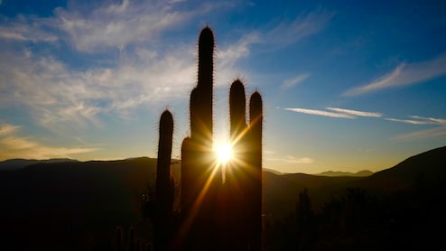 Heat-Related Deaths Around The World Top Half A Million A Year: Study