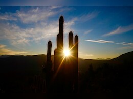 Heat Wave: दिल्ली में तापमान 52.3 डिग्री पर पहुंचा, टूट गए अब तक के सारे रिकॉर्ड