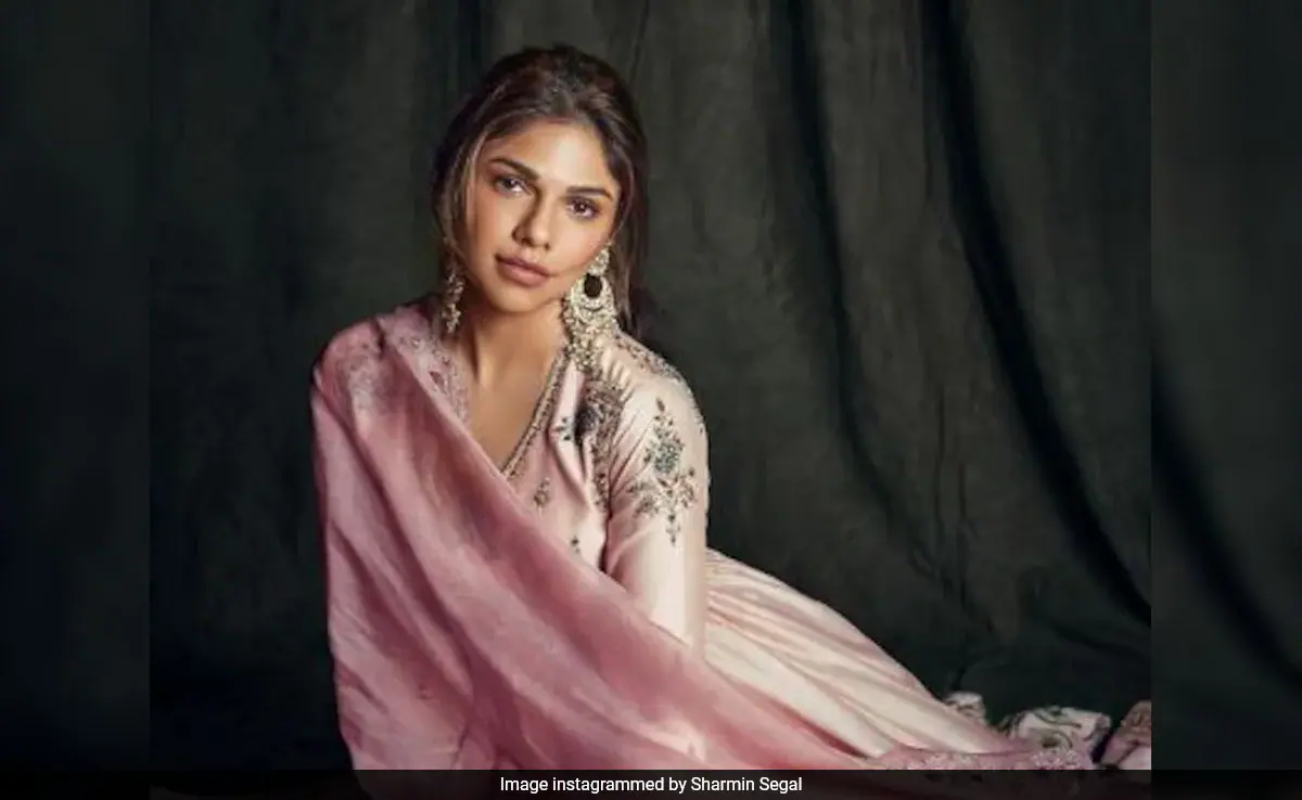 <i>Heeramandi</i> Actor Taha Shah Badussha On Co-Star Sharmin Segal Being Trolled:  "Can't Compare Her..."