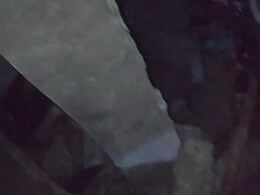 Shivpuri: घर में मां के साथ बैठकर खाना खा रहे थे तीन मासूम, अचानक मकान की छत गिरी, दबकर 7 वर्षीय मासूम की मौत Shivpuri: घर में मां के साथ बैठकर खाना खा रहे थे तीन मासूम, अचानक मकान की छत गिरी, दबकर 7 वर्षीय मासूम की मौत