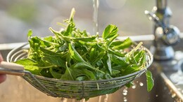 Cancer Prevention: 7 Desi Superfoods That Can Lower Your Risk