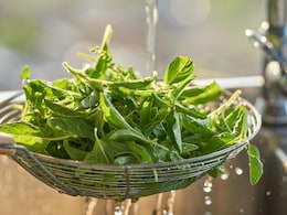 Cancer Prevention: 7 Desi Superfoods That Can Lower Your Risk Cancer Prevention: 7 Desi Superfoods That Can Lower Your Risk