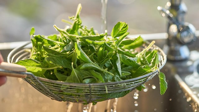 Tulsi also known as holy basil is rich in compounds that show strong anti-cancer properties