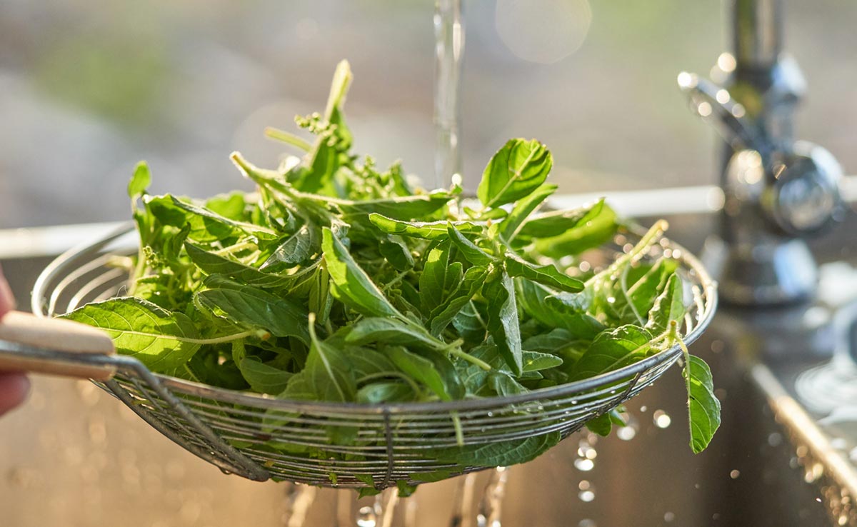 Tulsi also known as holy basil is rich in compounds that show strong anti-cancer properties