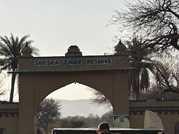 No Mining Activity Around Sariska Tiger Reserve: Supreme Court's Big Order