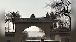 Rajasthan: सरिस्का बाघ अभ्यारण्य मंगलवार को बंद रखने की क्यों उठ रही मांग, जानें पूरा मामला