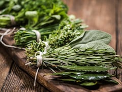 Healthiest Ayurvedic Herbs For The Changing Weather