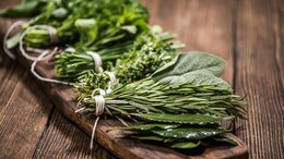 Healthiest Ayurvedic Herbs For The Changing Weather